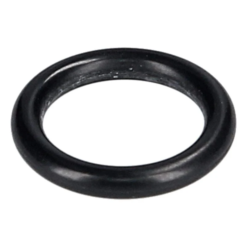 Kärcher O-ring 10x2mm Inloppsrör/Pumphus