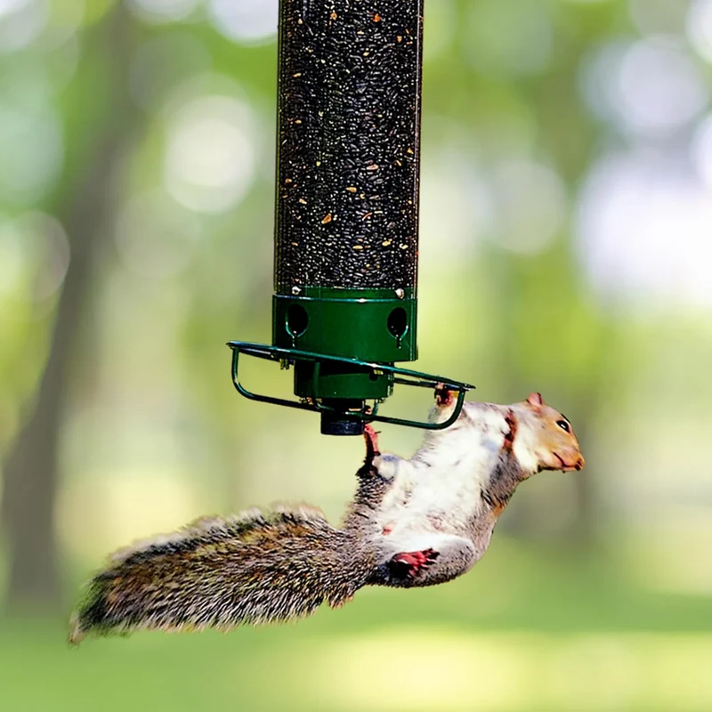 Vejrbestandigt Metal Fuglskur, SquirrelSafe™