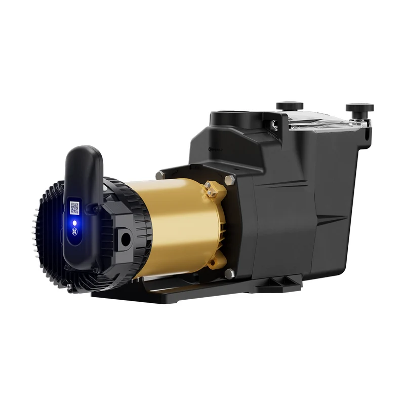 HAYWARD Super Pump VS 620 Variable Speed Pump with Omnix
