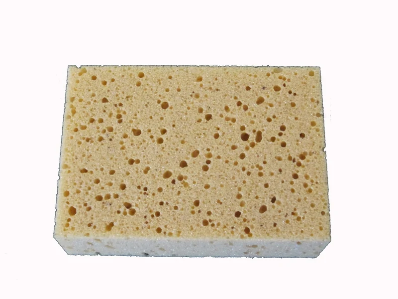 Cellulosesvamp