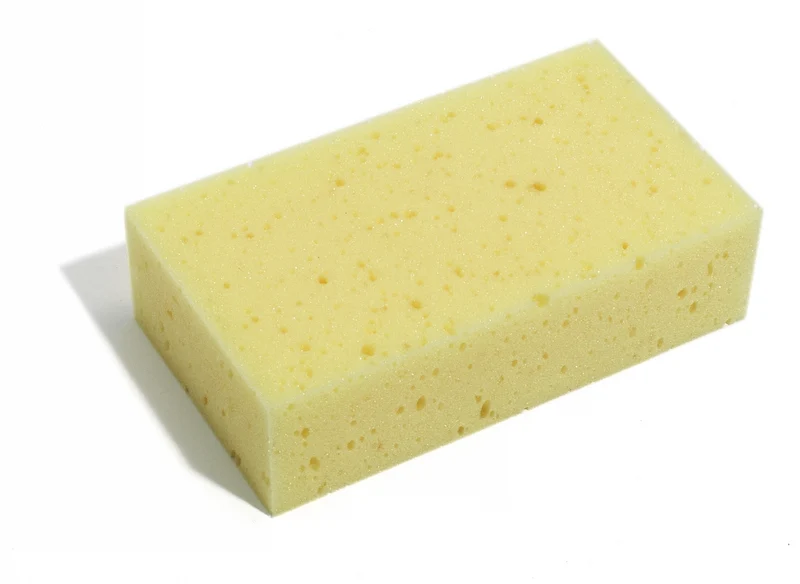 Murersvamp