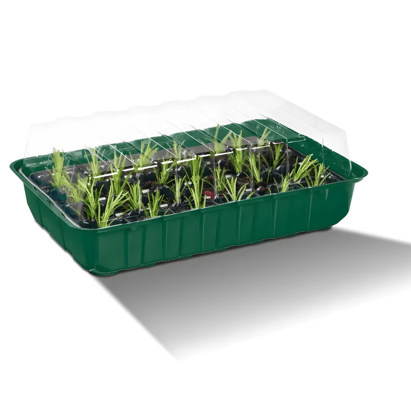 PARKSIDE® Mini Greenhouse Set – 12-Piece Seed Starter Kit with Trays & Covers